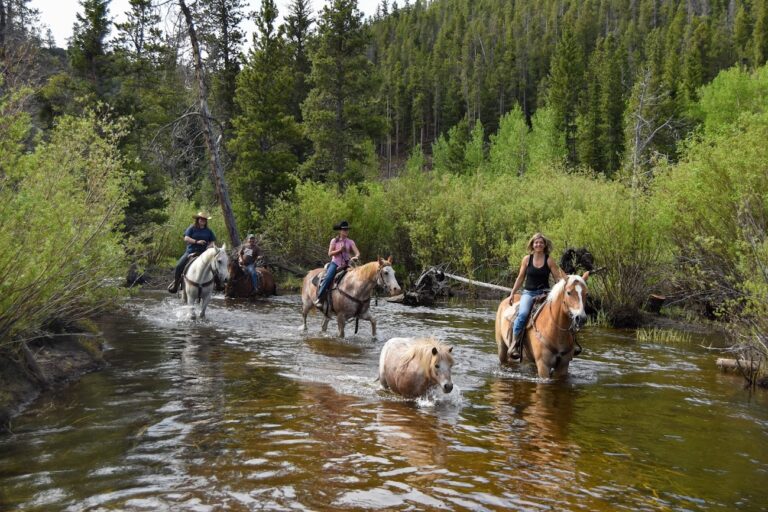 Beaver Meadows Stables | guided horse back riding Roosevelt National Forest