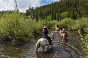 Beaver Meadows Stables | guided horse back riding Roosevelt National Forest